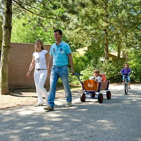 Üdülőpark Roompot De Weerterbergen